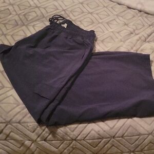 Lane Bryant Navy Wide Leg Pants